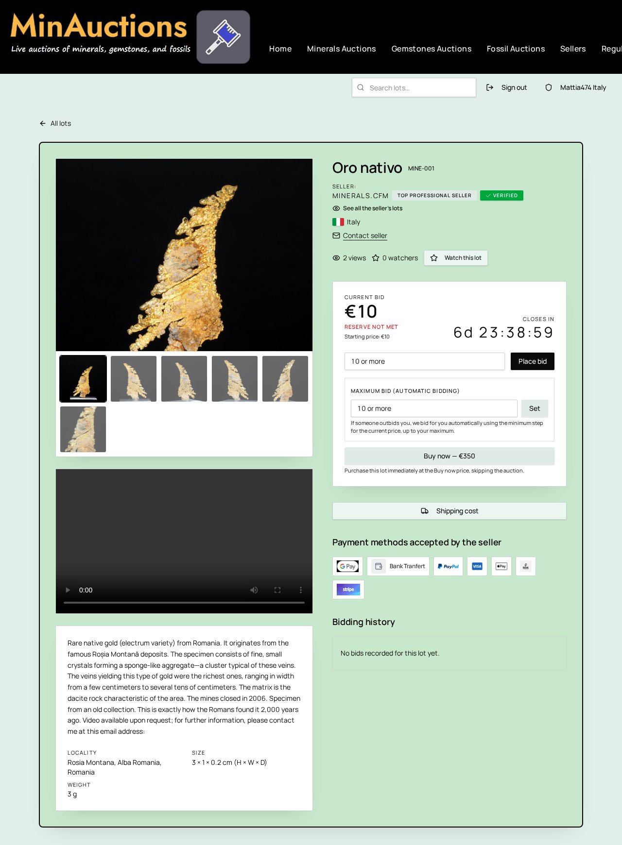 Lot page showing photographs, hammer price, payment methods and bidding history
